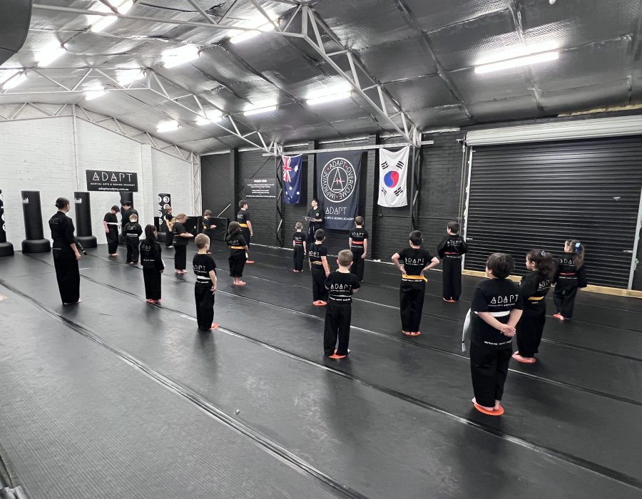 Beginner martial arts class