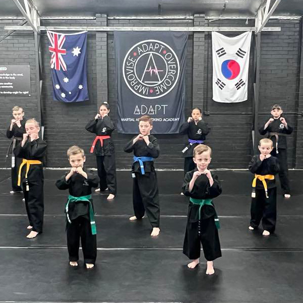 karate students with different colour belts