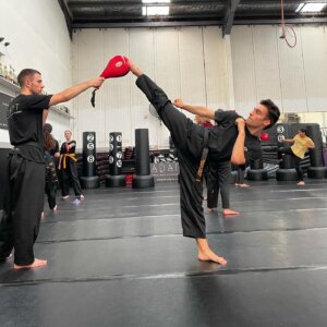 Martial Artists kicking